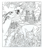A coloring page of nature in the backyard